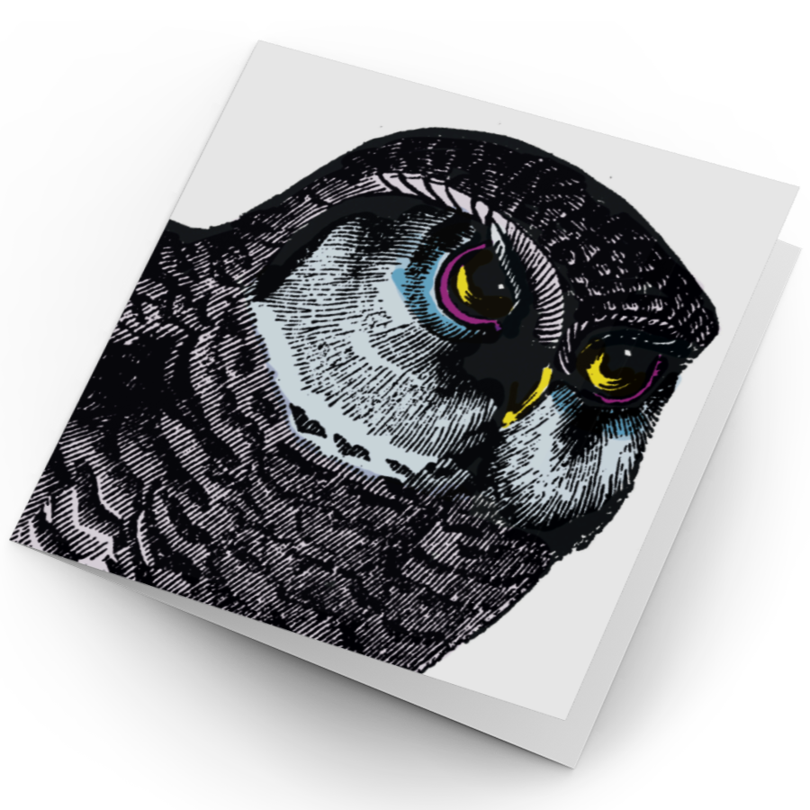 Owl Card